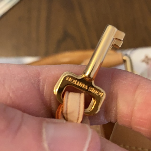 Louis Vuitton Rainbow Speedy - Picture 13 of 16